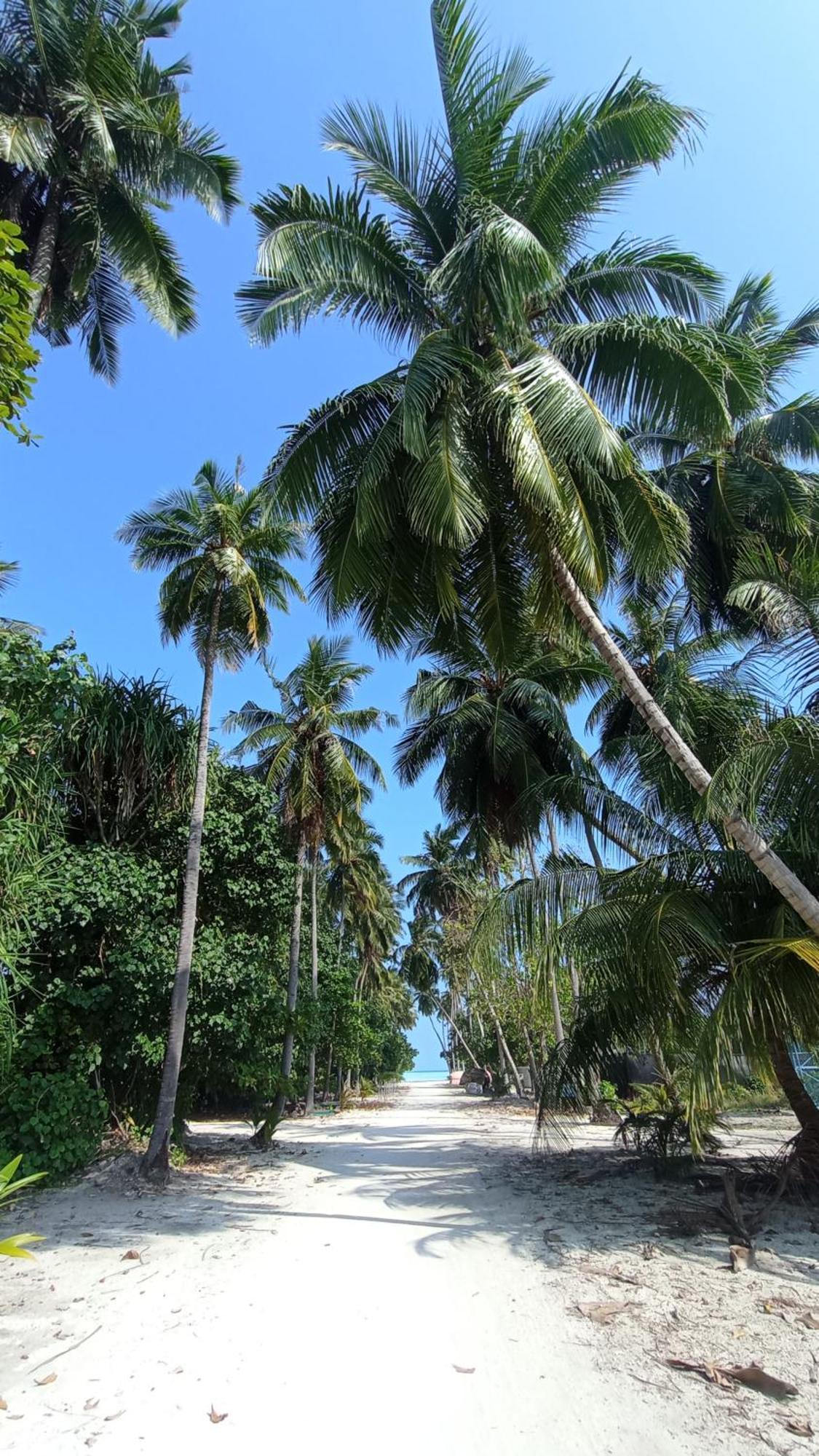 Ahiva Village Fulhadhoo Exterior photo
